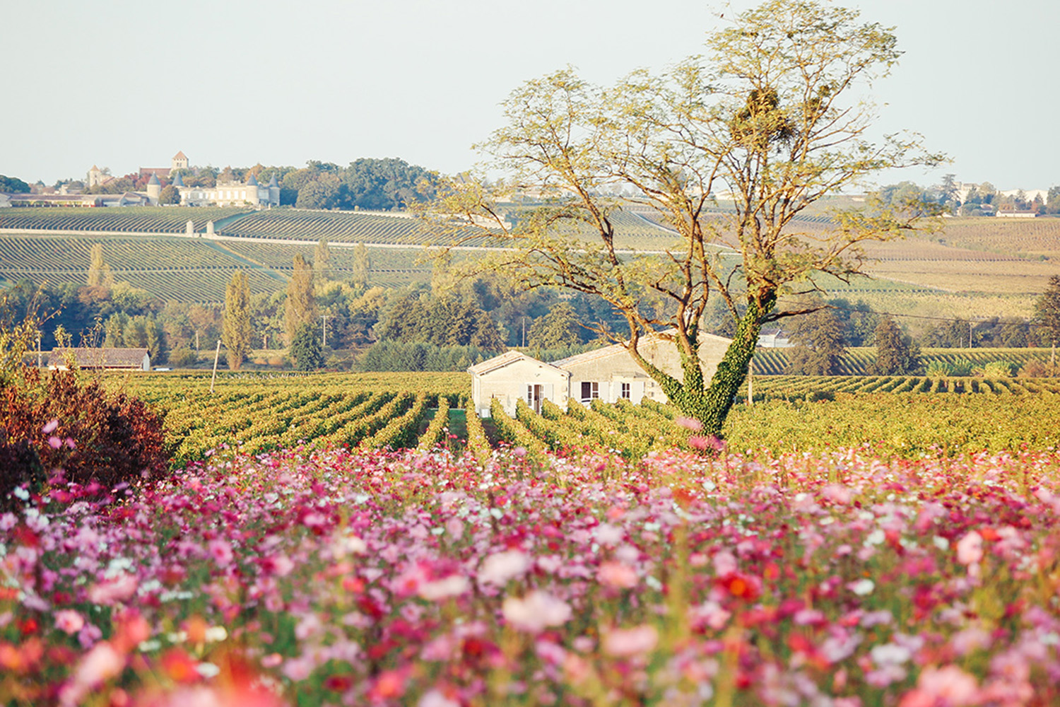 7 Day Loire And Bordeaux Private Journey Luxury Vacation From $5,489Image